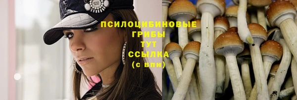 эйфоретик Абаза