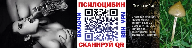 Псилоцибиновые грибы мицелий купить закладку Щёлкино
